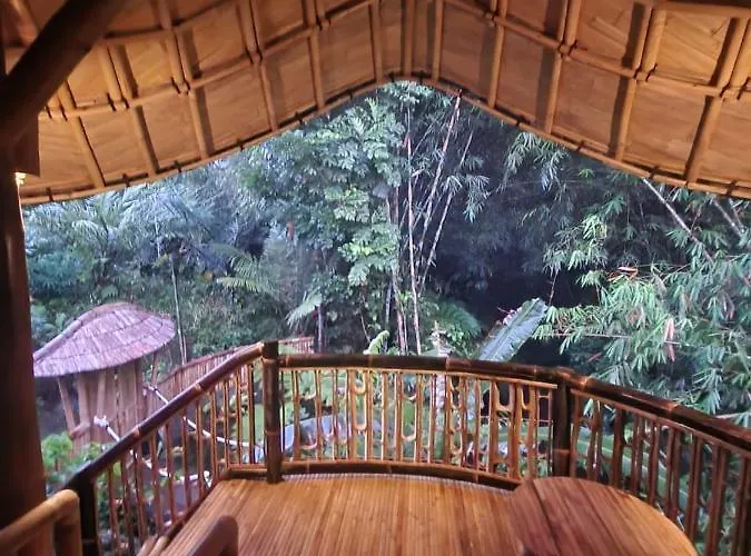 Salacca#bamboohouse# *
