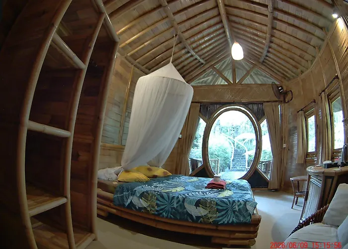 Salacca#bamboohouse# *