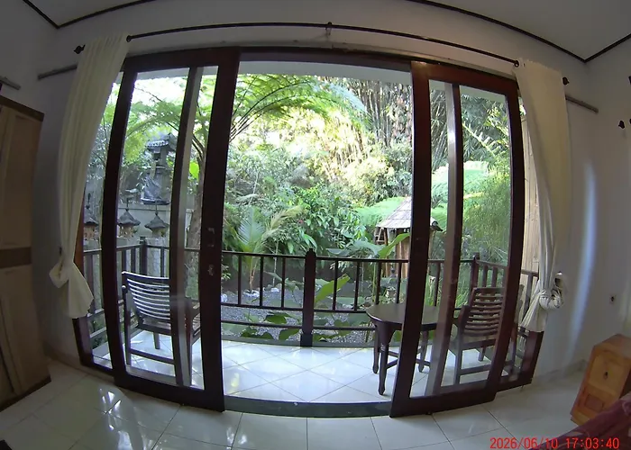 Salacca#bamboohouse#