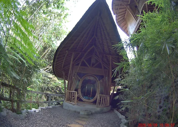 Salacca#bamboohouse# تْشانديداسا